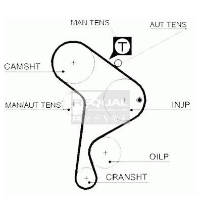 Distribution - Kit distribution pour Volkswagen/ Audi/ Seat 1.9D RTK036