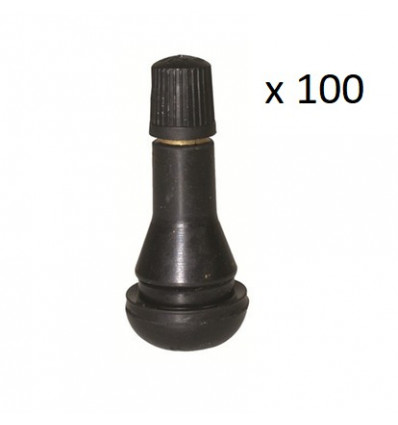 Valves de roue TR418 x 100 Equipement Exterieur