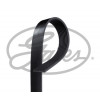 Courroie d accessoire 8PK2485
