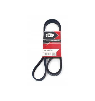 Courroies d'accessoires - Courroie d'accessoire Gates 5PK1850 5PK1850