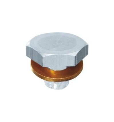 Bouchon de vidange + joint PSA