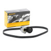 Courroies d'accessoires - Kit courroie d'accessoires pour Dacia Nissan Renault 6PK1130K1