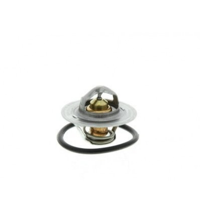 Thermostat d'eau Audi Renault Citroën Fiat Seat VW