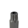 Embout de tournevis - Douille pointe 12 pans XZN 1/2" inviolable m16x100mm 12030