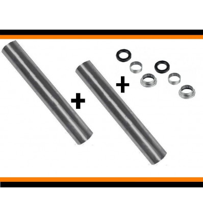 2 Kit roulement + 2 axe de brasTrain Arriere Peugeot 206 Pack d'article
