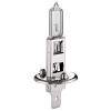 Ampoule H1 100w 12V Blanc Ampoule Halogène (standard)