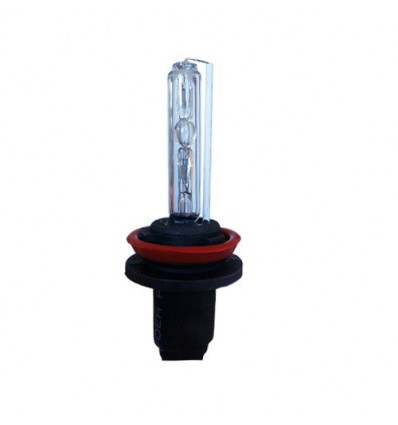 Lot de 2 ampoules Xenon H11 55W Eclairage feu diurne