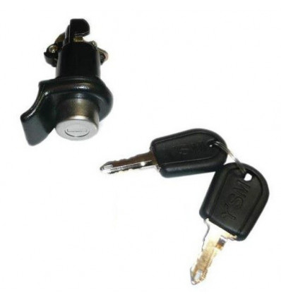 Bouton serrure de coffre Renault 19 R19 Serrure et Clé