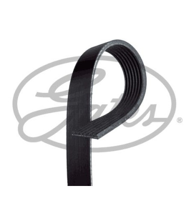 Gates Accessory Belt 7PK1570