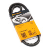 Courroie d'accessoire Continental AVX10X813 pour Alfa romeo Audi Bmw Fiat Ford Lancia Opel Peugeot Renault Rover Seat Volkswagen