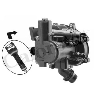 Thermostat d'eau