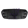 Grille de radiateur - Grille de radiateur compatible pour Ford FT91654