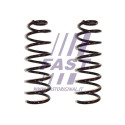 Suspension spring