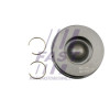 Pistons - Piston compatible pour Ford Land rover Citroën Peugeot Fiat FT47130/0