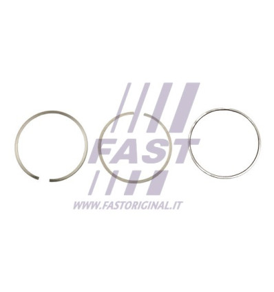 Pistons - Jeu de segments de pistons compatible pour Fiat Citroën Peugeot Iveco FT47374/0