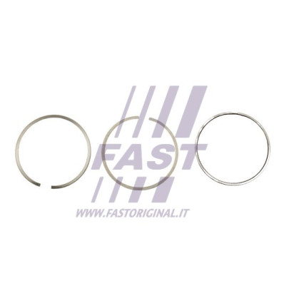 Pistons - Jeu de segments de pistons compatible pour Fiat Citroën Peugeot Iveco FT47374/0