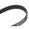 Gates Accessory Belt 6PK975