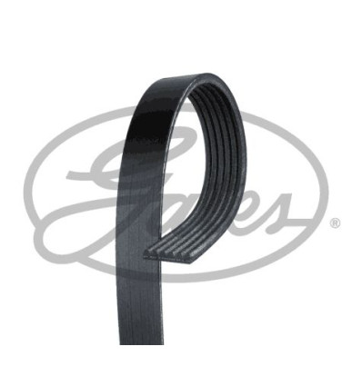 Courroie d'accessoires Gates 6PK1893 pour Bmw Chevrolet Daewoo Ford Mitsubishi Saab