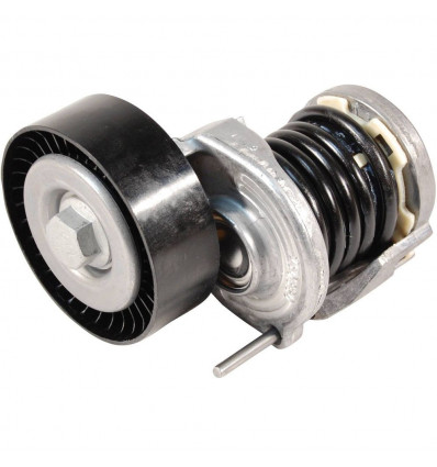 Galet Tendeur Audi A3 A4 A6 Altea Ibiza Leon Fabia Octavia Roomster Golf 5 Passat Polo TDi
