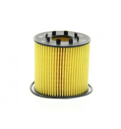 Filtre a huile Nissan Opel Renault 2.2 Dci 2.5 Dci 3.0 Dci