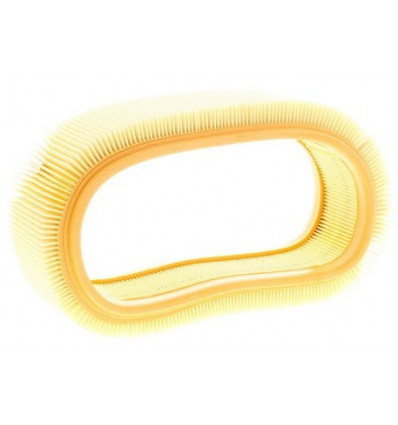 Filtre a air Dacia Logan Sandero Solenza Renault Clio 2 Kangoo Megane 1 1.4 Filtration