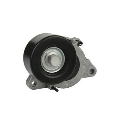 Galets tendeur - Galet tendeur de courroie accessoire pour Nissan Cabstar Navara Pathinder 2.5 dCi dTi APV2842