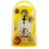 Coffret d ampoules de Secours H1 + H7 Ampoule Halogène (standard)