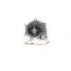 Pompe à eau - Pompe à eau pour Hyundai Terracan Kia Carnival 2 2.9 Crdi H225