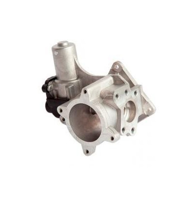 Vanne EGR - Vanne EGR pour Volkswagen BF-1119007