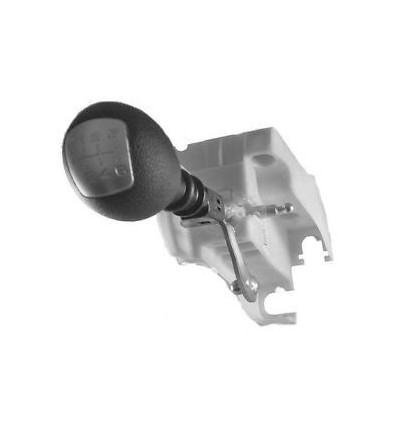 Pommeau de vitesse - Levier de vitesses pour Iveco Daily (Boite 6 vitesses) 5801260777