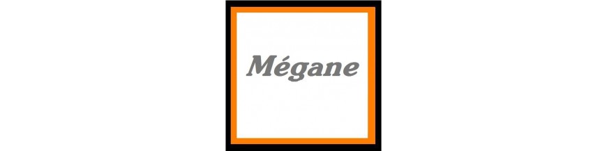 Mégane+Scenic 1
